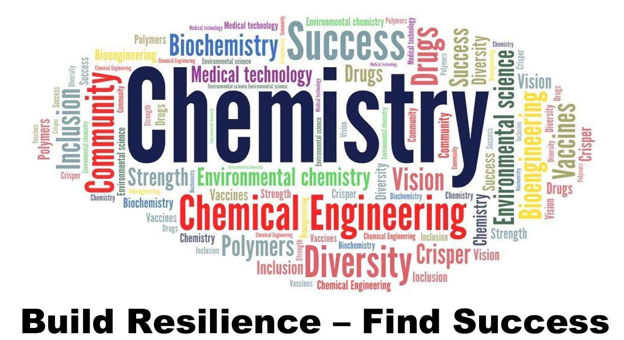 “Build Resilience, Find Success” – An ACS PSS Retreat for BIPOC Students of Chemistry or Engineering