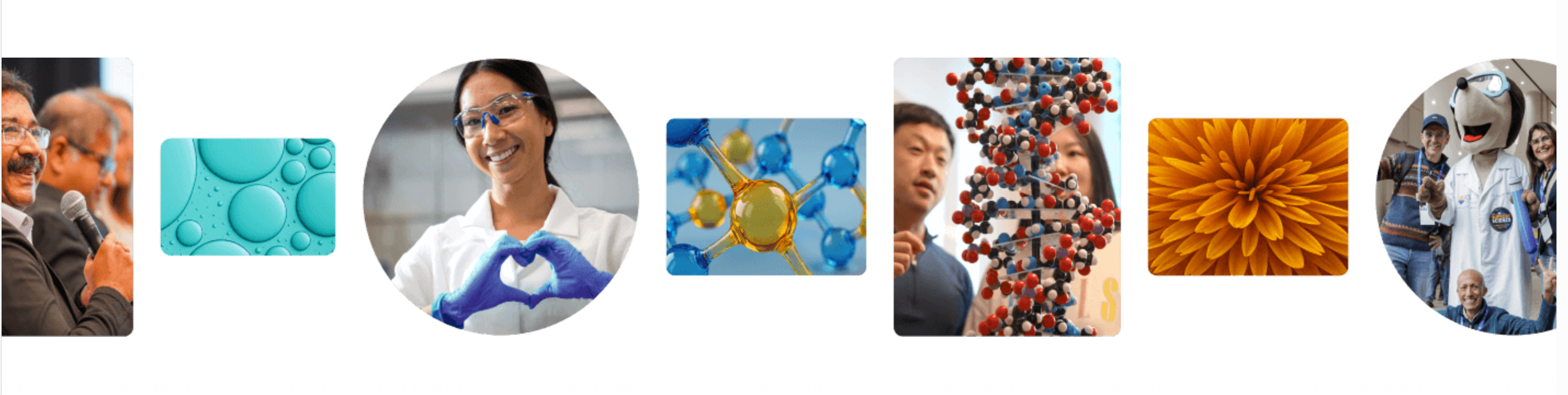 ACS Membership Discount Available for a Limited Time this Fall